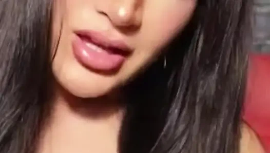 UMPROGRAMMIERUNG VON WICHSANLEITUNG ZUM gehorsam