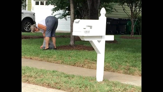 big booty neighbor