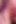 Close up Cock Worship