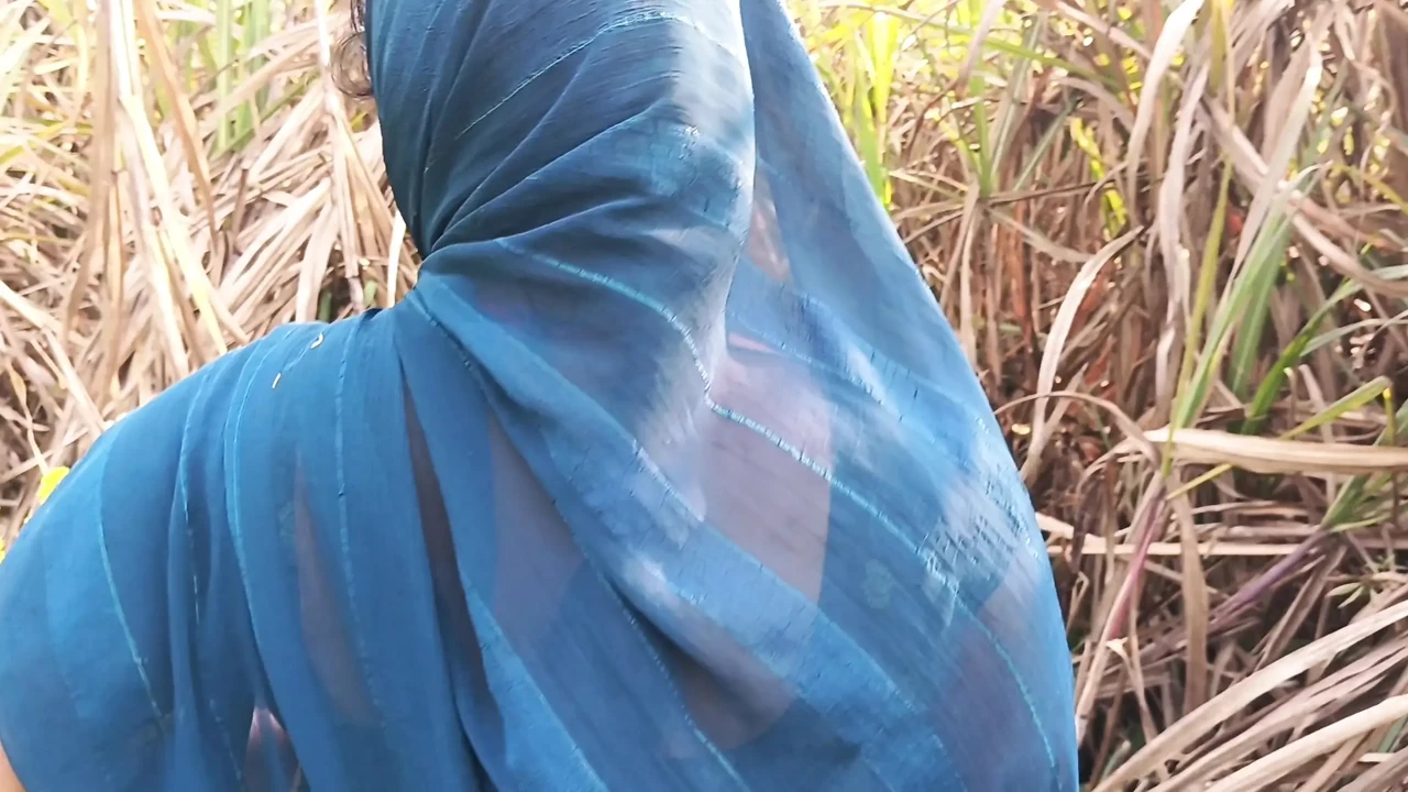 Outdoor Anal and pussy licking desi bhabhi Indian sexy videos