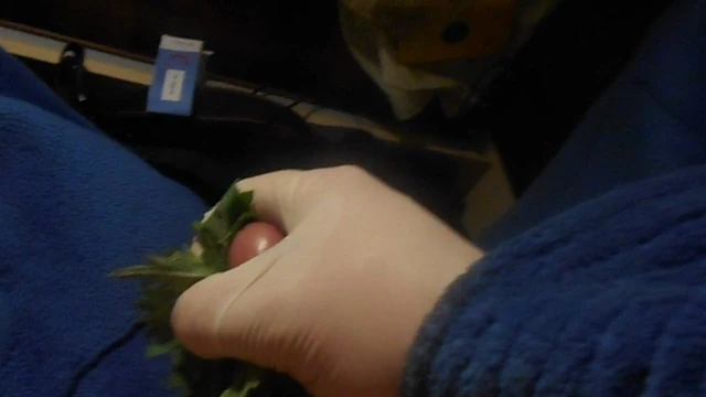 nettles