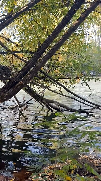 Thủ dâm công cộng Boise Idaho Greenbelt đi bộ đường mòn xe đạp