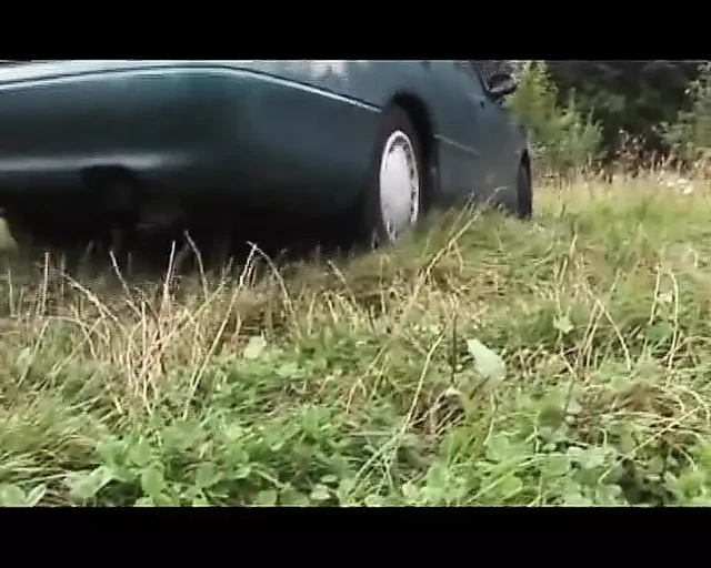 Sexy German blonde fucked hard in outdoor threesome
