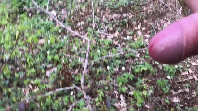 Cum in forest