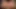 Büyük memeli tanrıça Arap diva polis yapay zeka fantezi pornosu