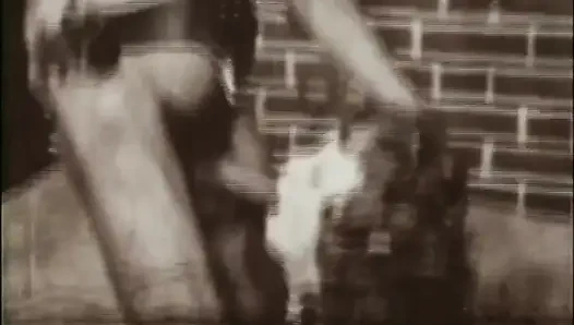 Petualangan Bajingan