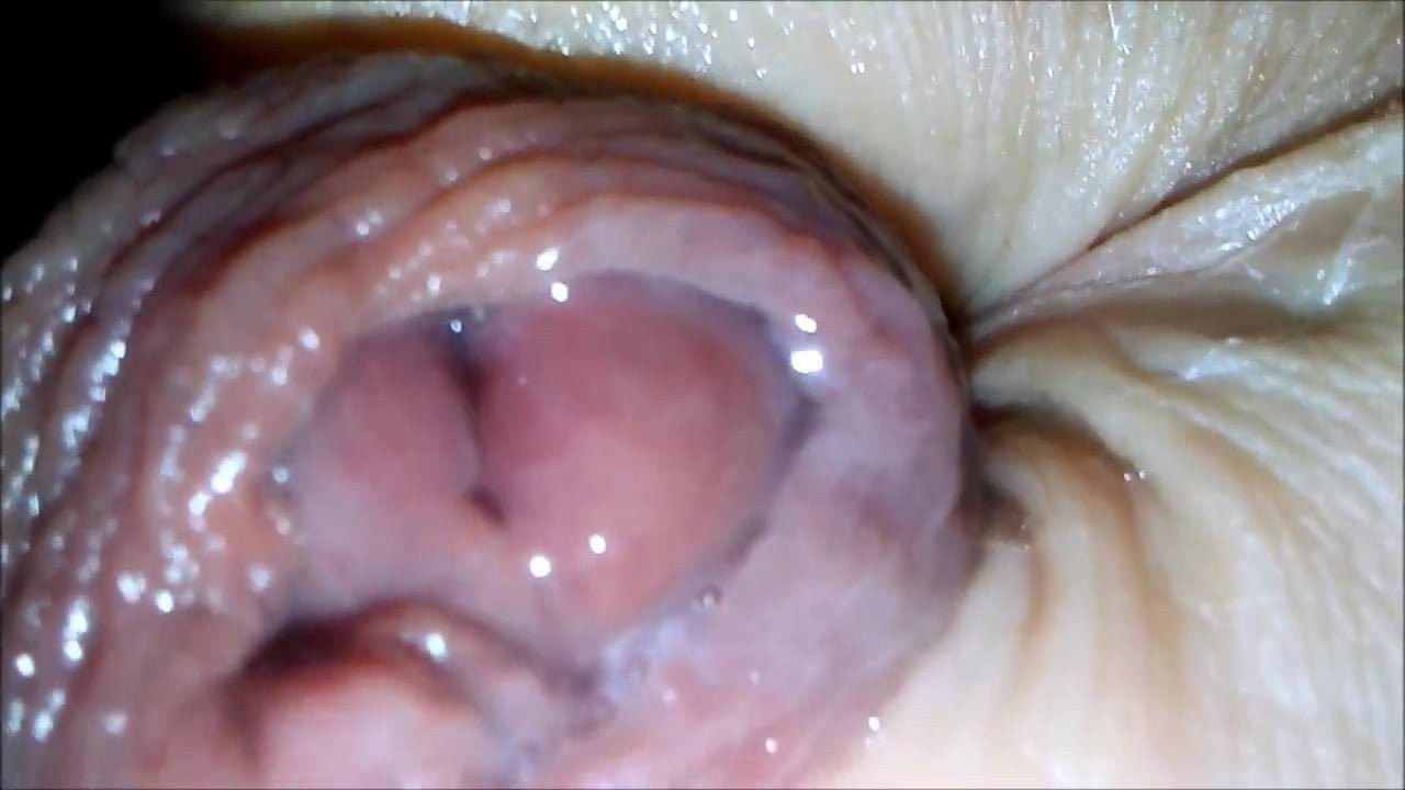Dickhole Delight