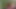 Blacked – süße zierliche blonde zazie verschlingt Aarons dicken bbc