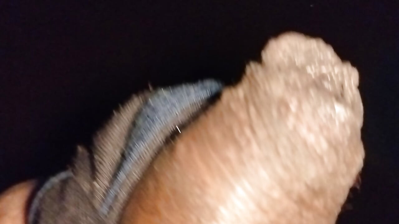 Shobha mallu aunty bra cumshots