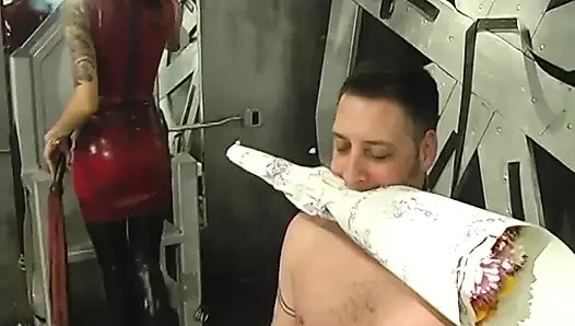 İnce esmer dominatrix ininde erkek köleyi aşağılıyor ve aşağılıyor