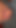 デイジーは勃起した状態で、必要に応じて挿入できる蝶が必要です。クリップ1