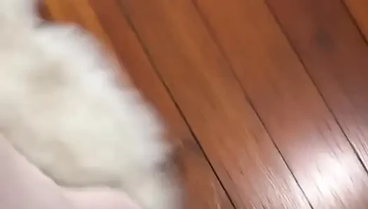 Ivy ireland lagi ngaceng dan siap dientot lebih banyak lagi