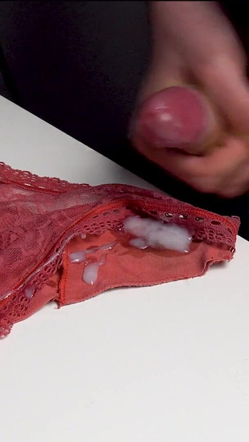 Iconic moment from "I stole my stepsister's dirty panties and secretly masturbated on them, staining them in my sperm."