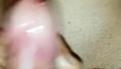 Ich 3