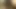 Seksi minyon travesti götünü siktiriyor