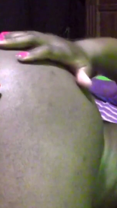 Amateur African Ebony Queens Dig Deep With Toys After Work | Clip 1