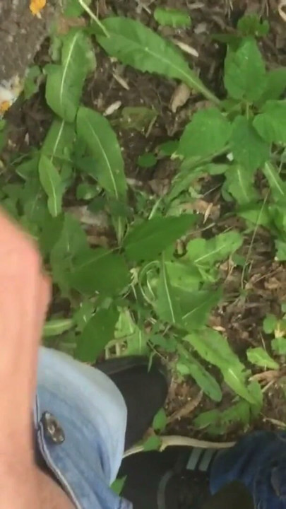 Futai dur pe stradă într-o gaură strâmtă ca să se umple de spermă de la pula mare! | Clip 3