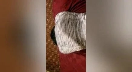 My black man fuck me too good