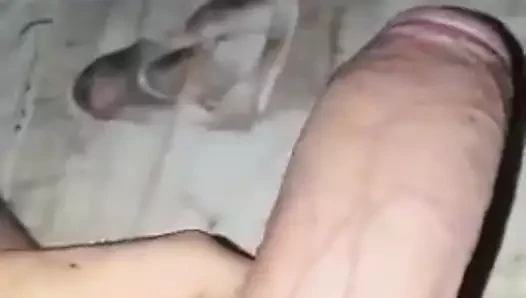 Sikim