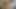 Lustybrunette halıya tesisat yaptıktan sonra bardakları yıkamalı