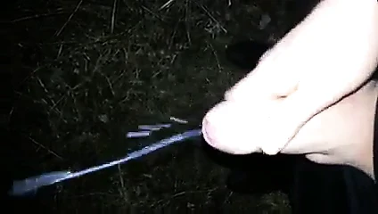 Im Wald