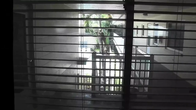 From the Pool to Fucking in the Apartment in Florida