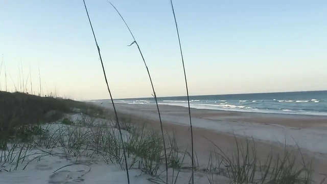 Beach Suck & Fuck.mp4