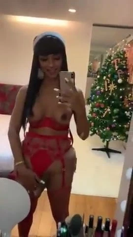 Santa's Helper