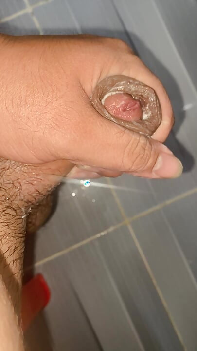 A daisy is in an erect state and it needs a butterfly to insert it so that it can be relieved as needed