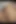 Büyük travesti dildo ve sulu amcık dudaklarımla ateşli azdırma gösterisi