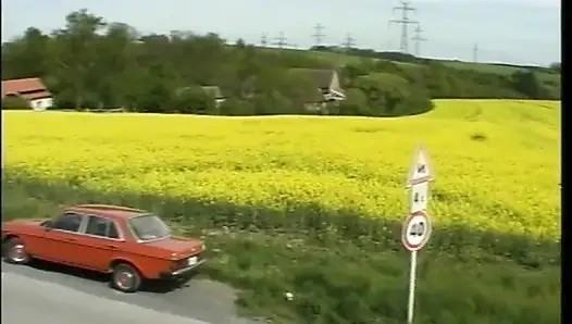 Brauche Heute Einen Guten Schwanz