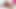 Hint-skandal mui bogor
