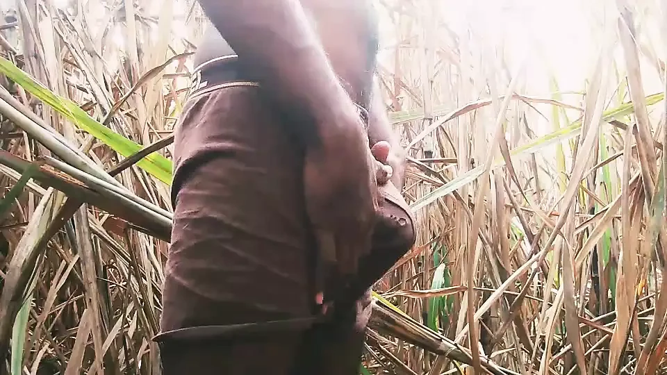 印度gey hastmaithun视频搞笑视频