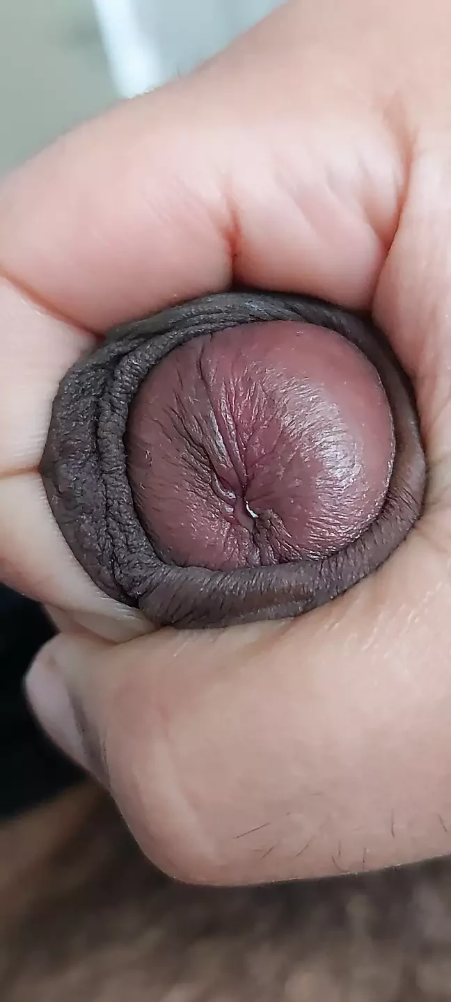 Black dick closeup dick male amateur, latino, masturdating , homemade, man, boy