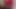 Bright Red