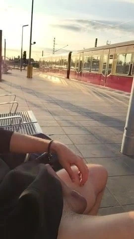 Geiler Schwanz Berliner Sbahn Bvg