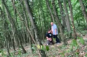 Bear in the Wood