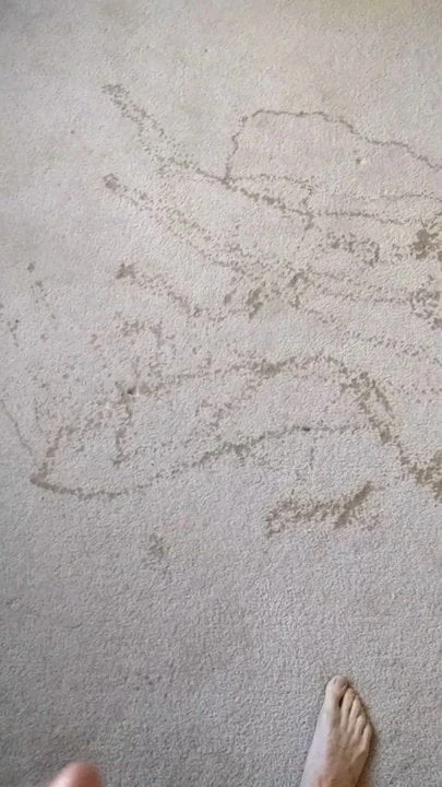 Pišam na tepih moje spavaće sobe