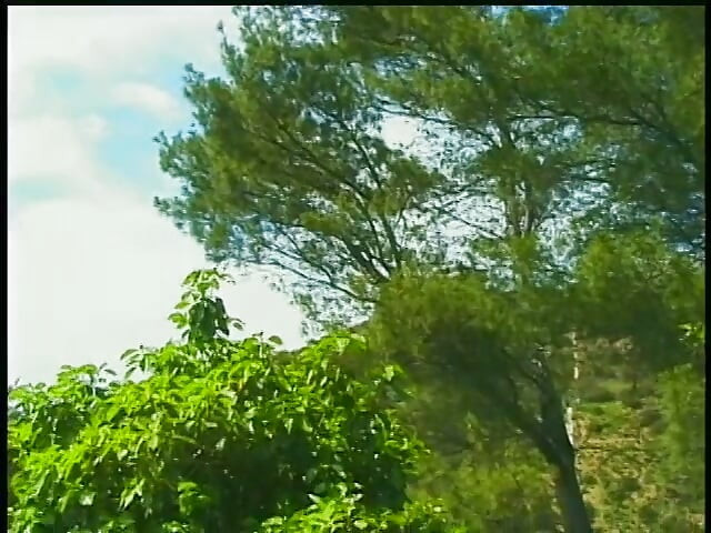 Outdoor fucking with skinny white bottom