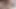 4 Girls 1 Guy, No Touch Handjob & What is a PreCum Challenge