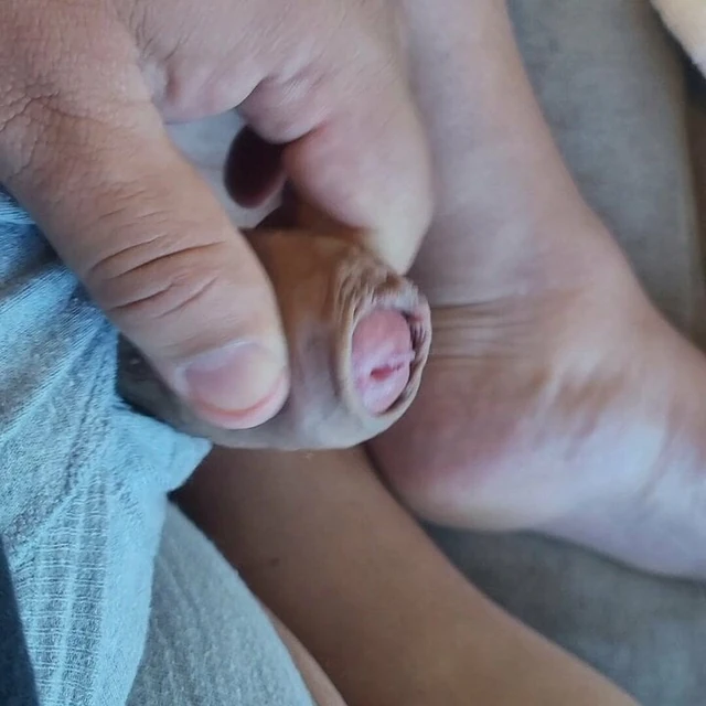 Horny