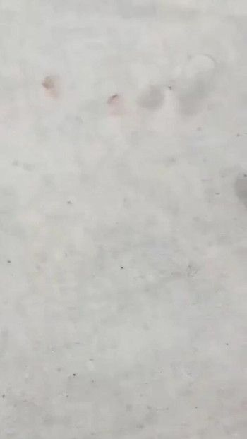 רגע מרגש מתוך "נרתיק המשרתת ההודית מזיין מהר אורגזמה אמיתית"