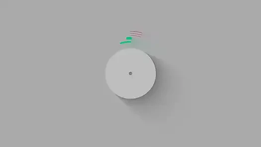 Akane Okawa за кулисами