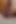 Close up Cock in the Morning