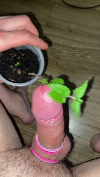 Nettle dick torture nettles penis extreme