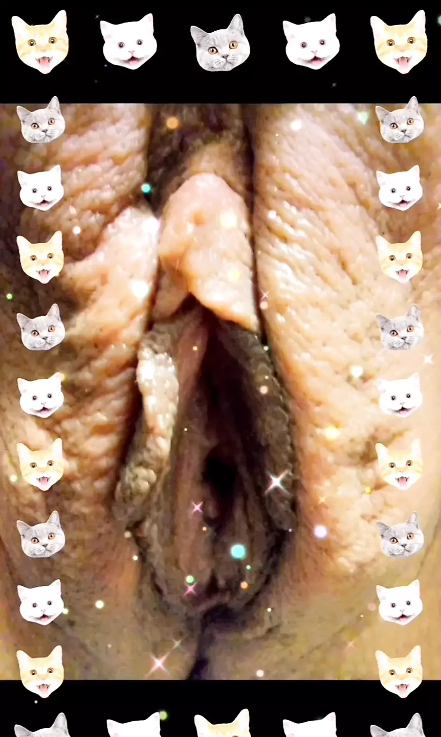 Pussy screen saver