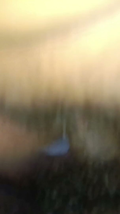 Who wants to fuck the pussy of a young girl? Come on, uncle, let’s fuck! Tamil videos indian girl hot video | Clip 1