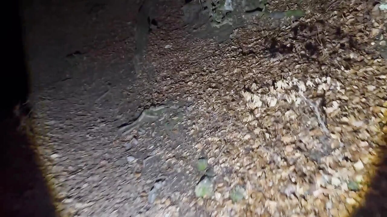 Nachtelijk wandelen en verwijder de meeste van mijn kleren