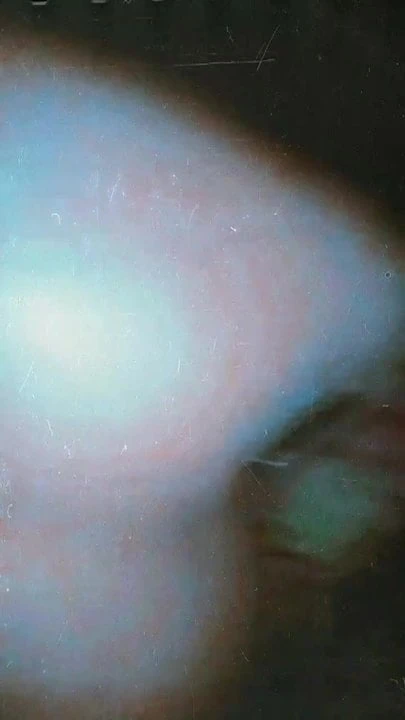 whatsapp videos 10