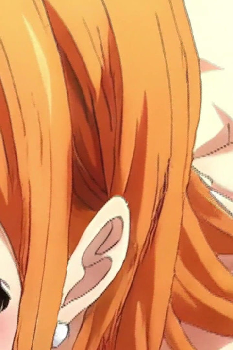 One Piece Nami(3) Hen